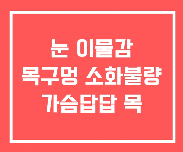 눈 이물감 목구멍 소화불량 가슴답답 목