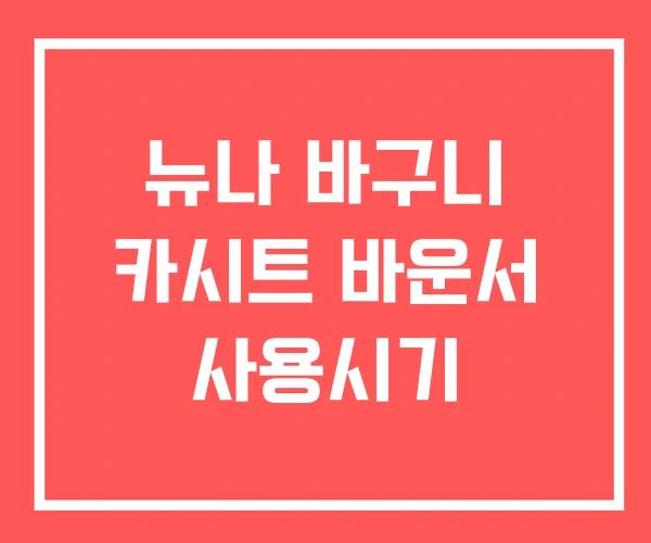 뉴나 바구니 카시트 바운서 사용시기