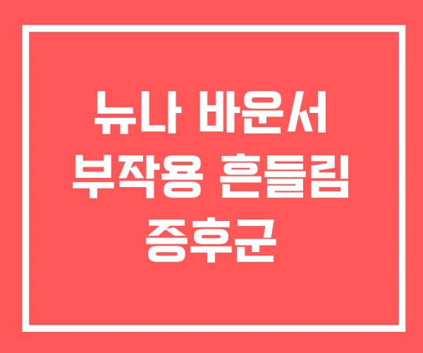 뉴나 바운서 부작용 흔들림 증후군