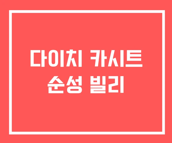 다이치 카시트 순성 빌리