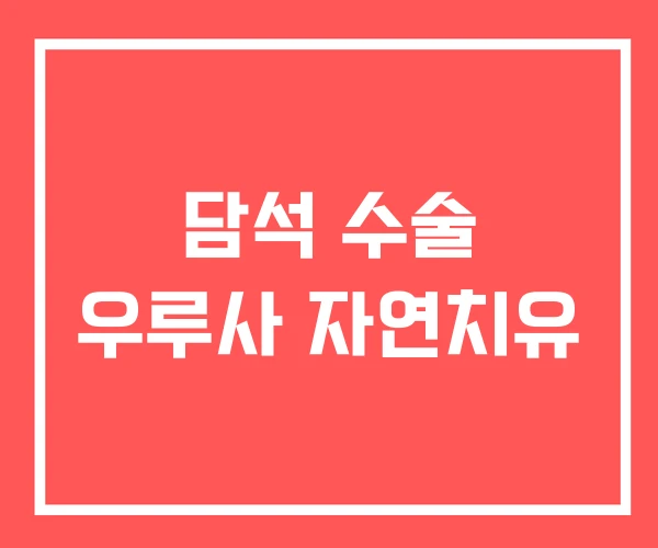 담석 수술 우루사 자연치유