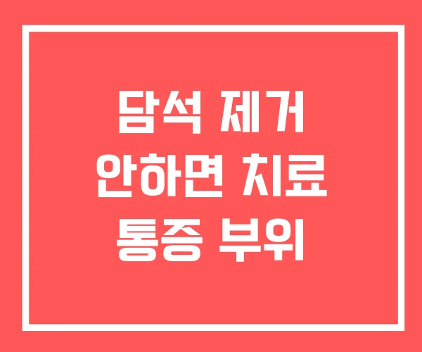 담석 제거 안하면 치료 통증 부위