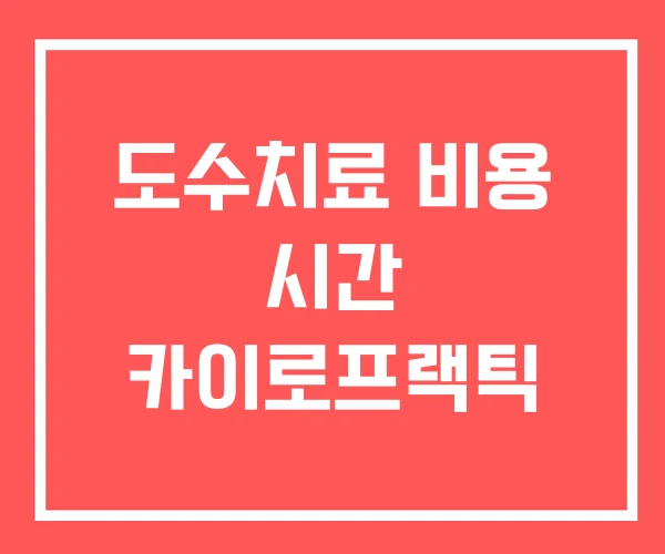 도수치료 비용 시간 카이로프랙틱