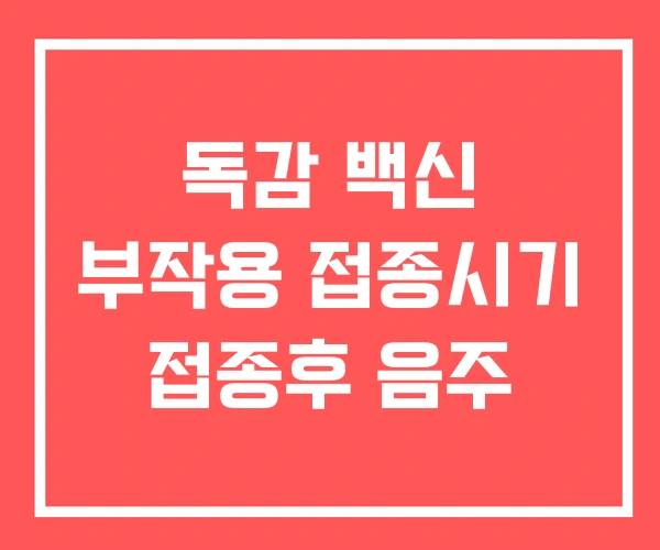 독감 백신 부작용 접종시기 접종후 음주
