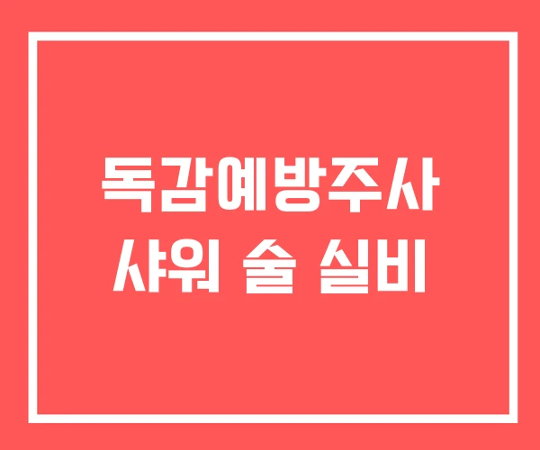 독감예방주사 샤워 술 실비
