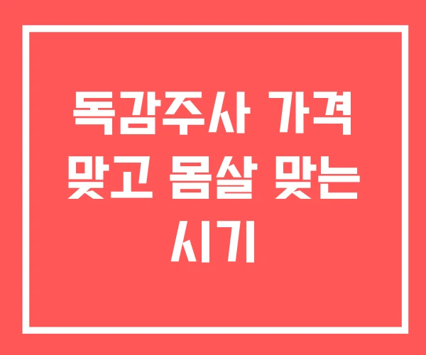 독감주사 가격 맞고 몸살 맞는 시기
