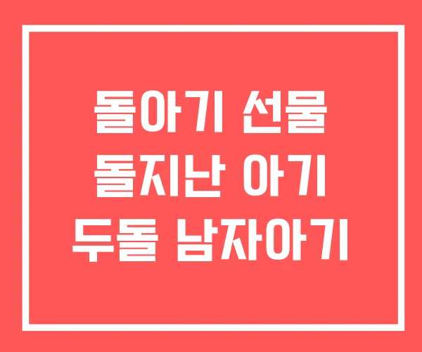 돌아기 선물 돌지난 아기 두돌 남자아기