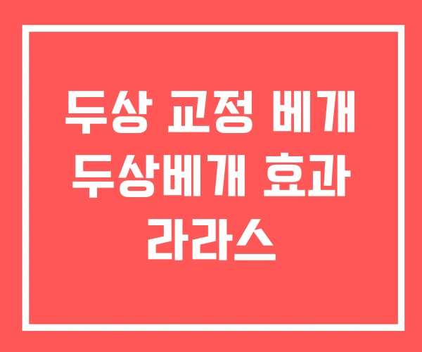 두상 교정 베개 두상베개 효과 라라스