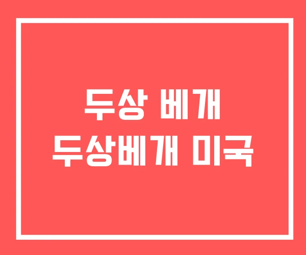 두상 베개 두상베개 미국