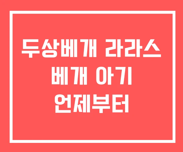 두상베개 라라스 베개 아기 언제부터
