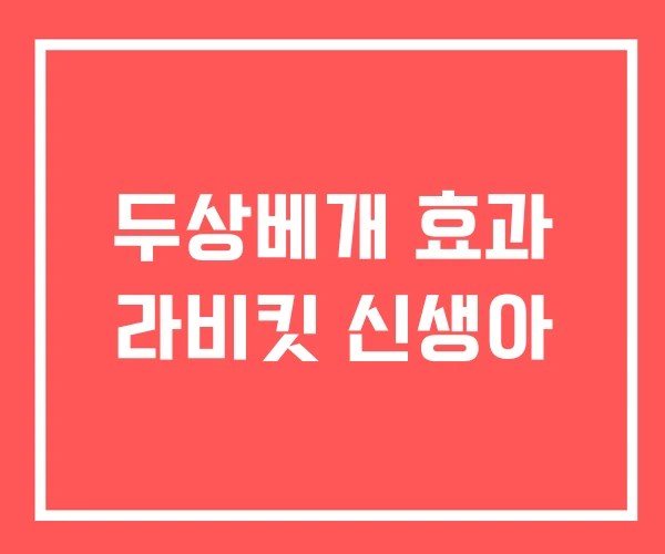 두상베개 효과 라비킷 신생아