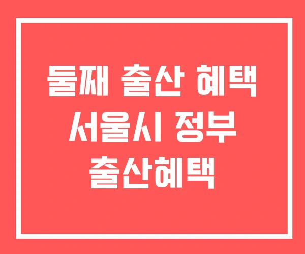 둘째 출산 혜택 서울시 정부 출산혜택