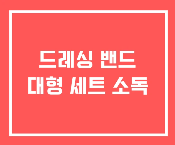 드레싱 밴드 대형 세트 소독