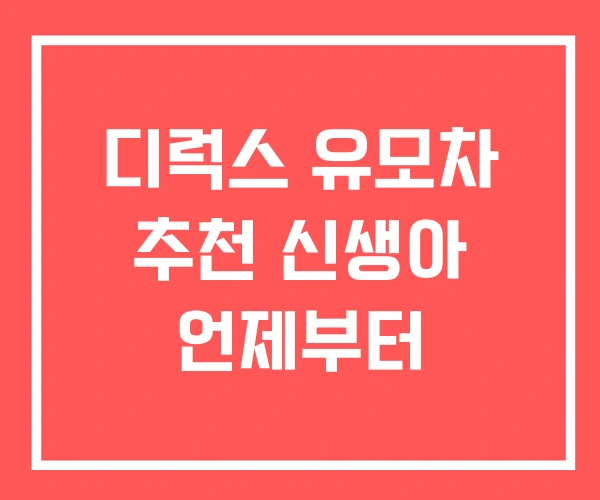 디럭스 유모차 추천 신생아 언제부터