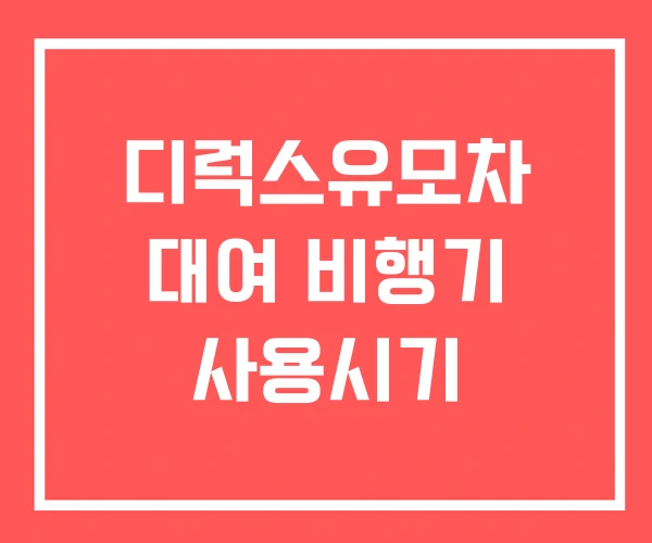 디럭스유모차 대여 비행기 사용시기