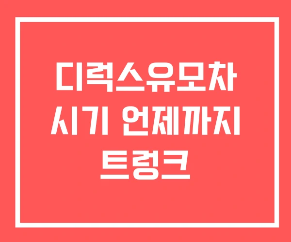 디럭스유모차 시기 언제까지 트렁크