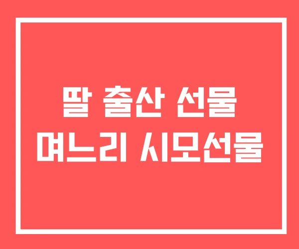 딸 출산 선물 며느리 시모선물