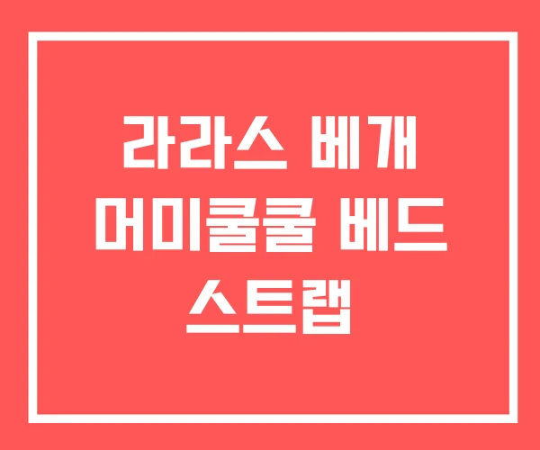 라라스 베개 머미쿨쿨 베드 스트랩