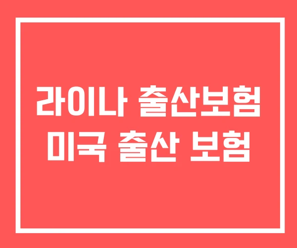 라이나 출산보험 미국 출산 보험