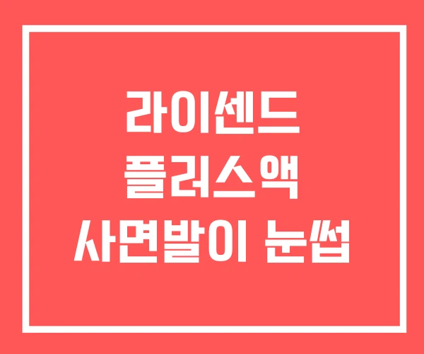 라이센드 플러스액 사면발이 눈썹