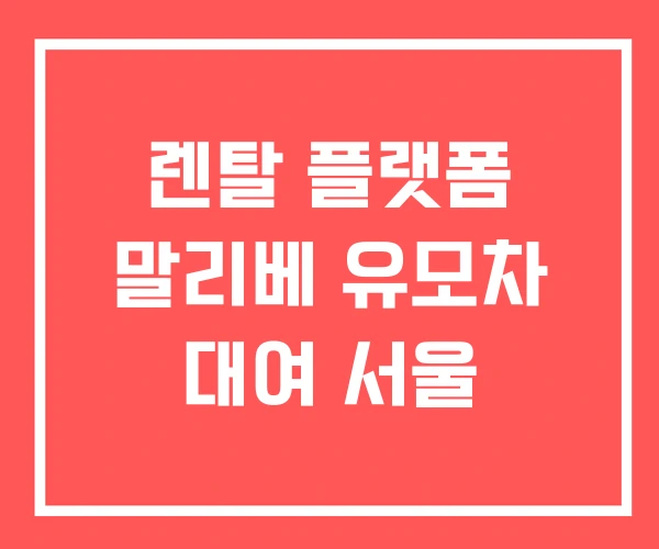렌탈 플랫폼 말리베 유모차 대여 서울