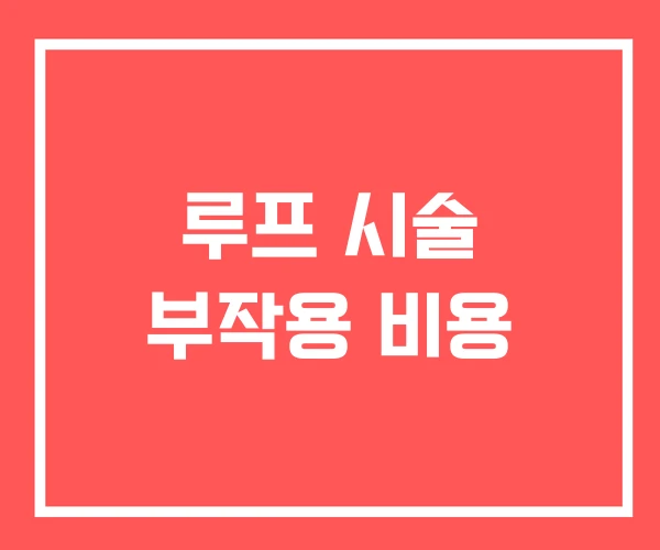 루프 시술 부작용 비용