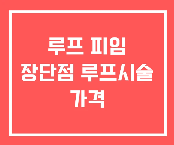 루프 피임 장단점 루프시술 가격
