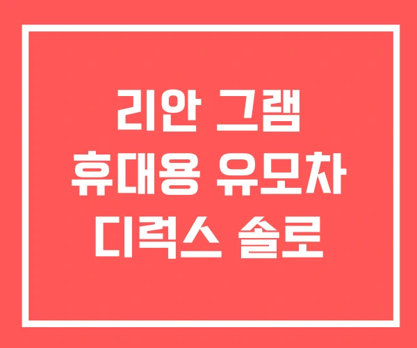리안 그램 휴대용 유모차 디럭스 솔로