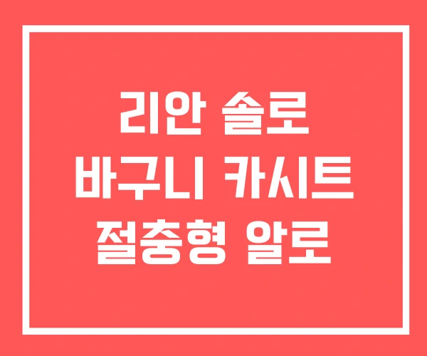 리안 솔로 바구니 카시트 절충형 알로