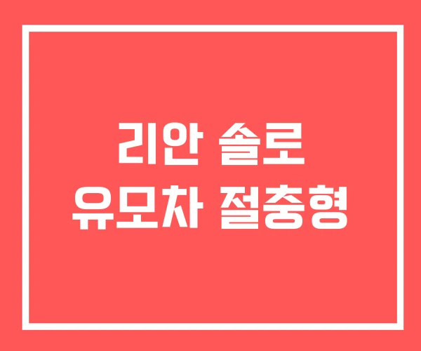 리안 솔로 유모차 절충형