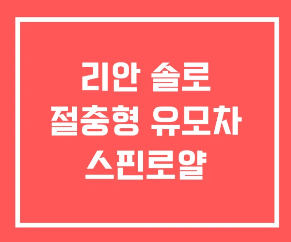 리안 솔로 절충형 유모차 스핀로얄