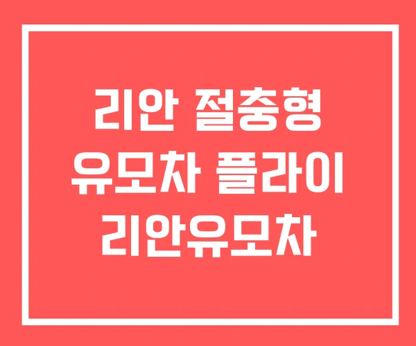 리안 절충형 유모차 플라이 리안유모차