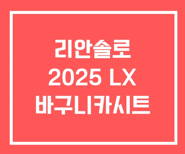 리안솔로 2025 LX 바구니카시트