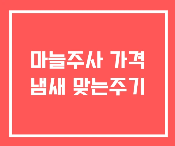마늘주사 가격 냄새 맞는주기