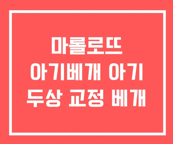 마롤로뜨 아기베개 아기 두상 교정 베개