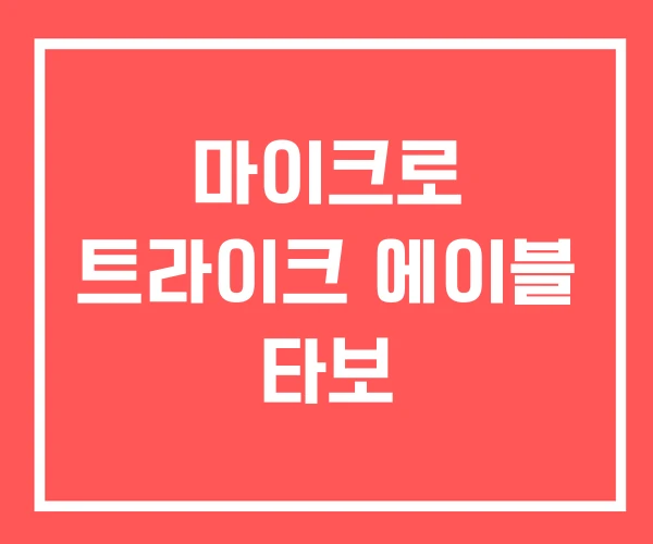 마이크로 트라이크 에이블 타보