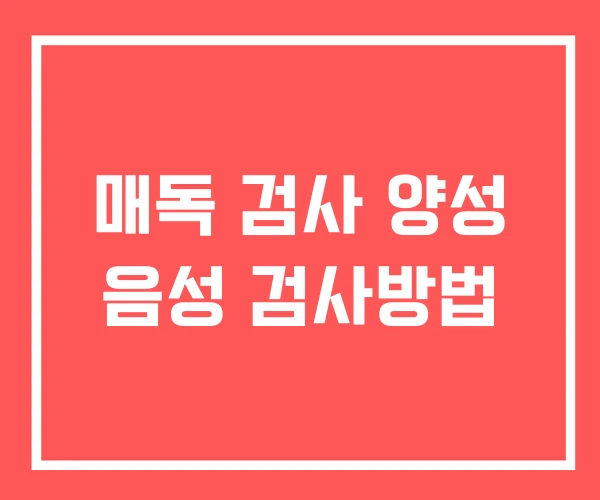 매독 검사 양성 음성 검사방법