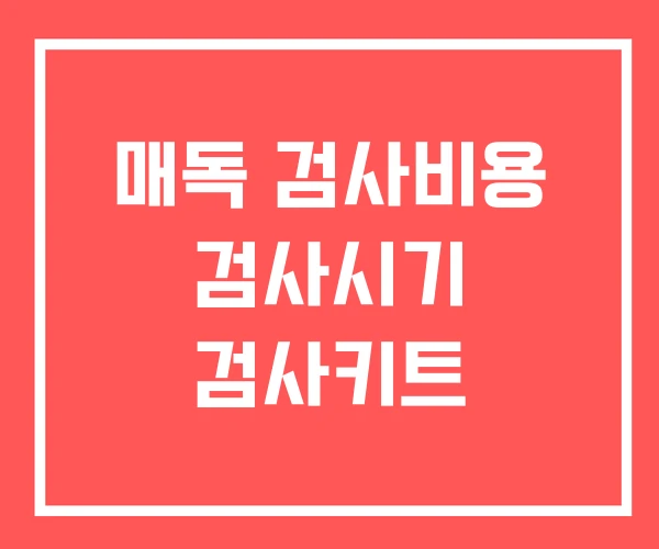 매독 검사비용 검사시기 검사키트