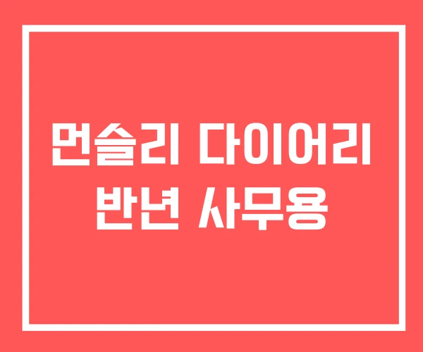 먼슬리 다이어리 반년 사무용