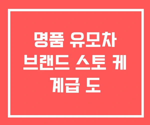 명품 유모차 브랜드 스토 케 계급 도