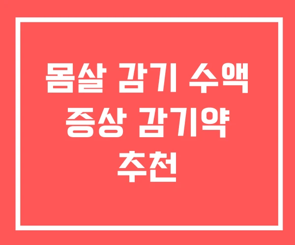 몸살 감기 수액 증상 감기약 추천