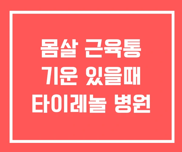 몸살 근육통 기운 있을때 타이레놀 병원