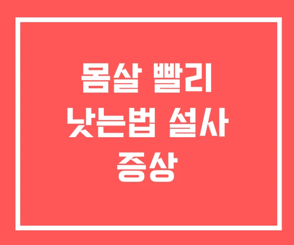 몸살 빨리 낫는법 설사 증상
