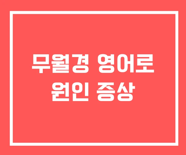 무월경 영어로 원인 증상