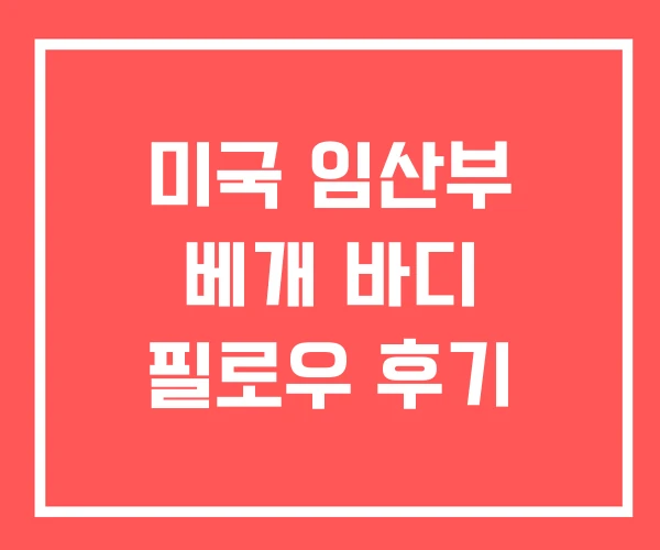 미국 임산부 베개 바디 필로우 후기