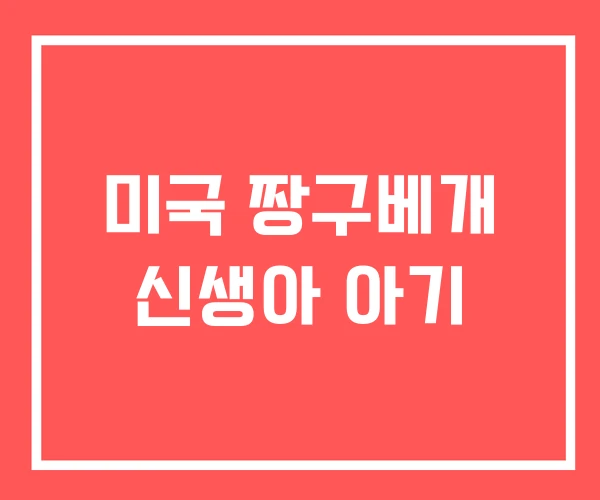 미국 짱구베개 신생아 아기