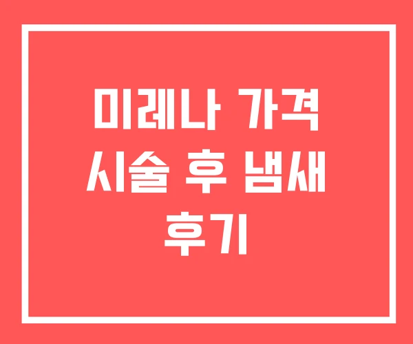 미레나 가격 시술 후 냄새 후기