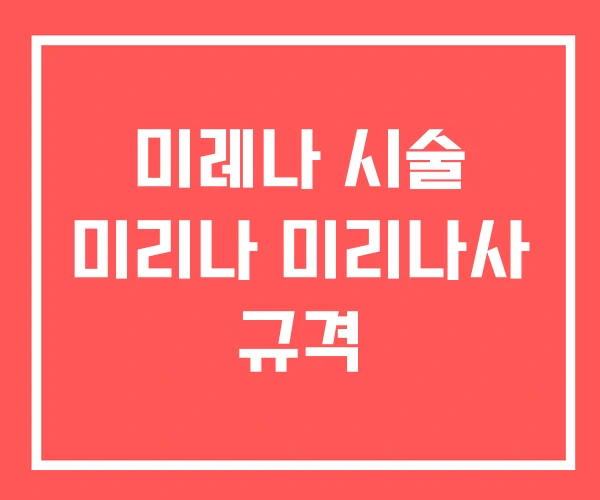 미레나 시술 미리나 미리나사 규격
