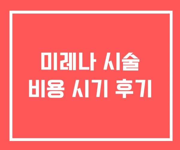 미레나 시술 비용 시기 후기