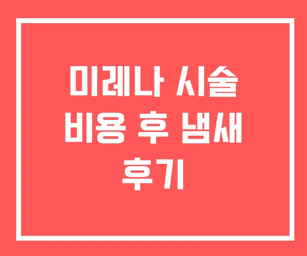 미레나 시술 비용 후 냄새 후기